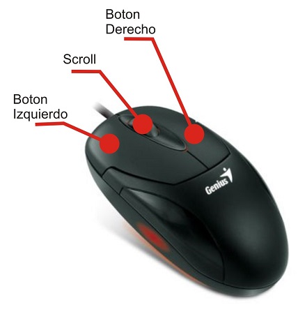 Partes y funciones del mouse